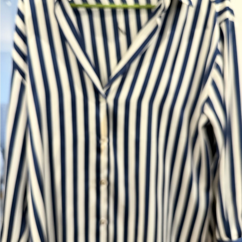 Zara Blue and White Striped Blouse